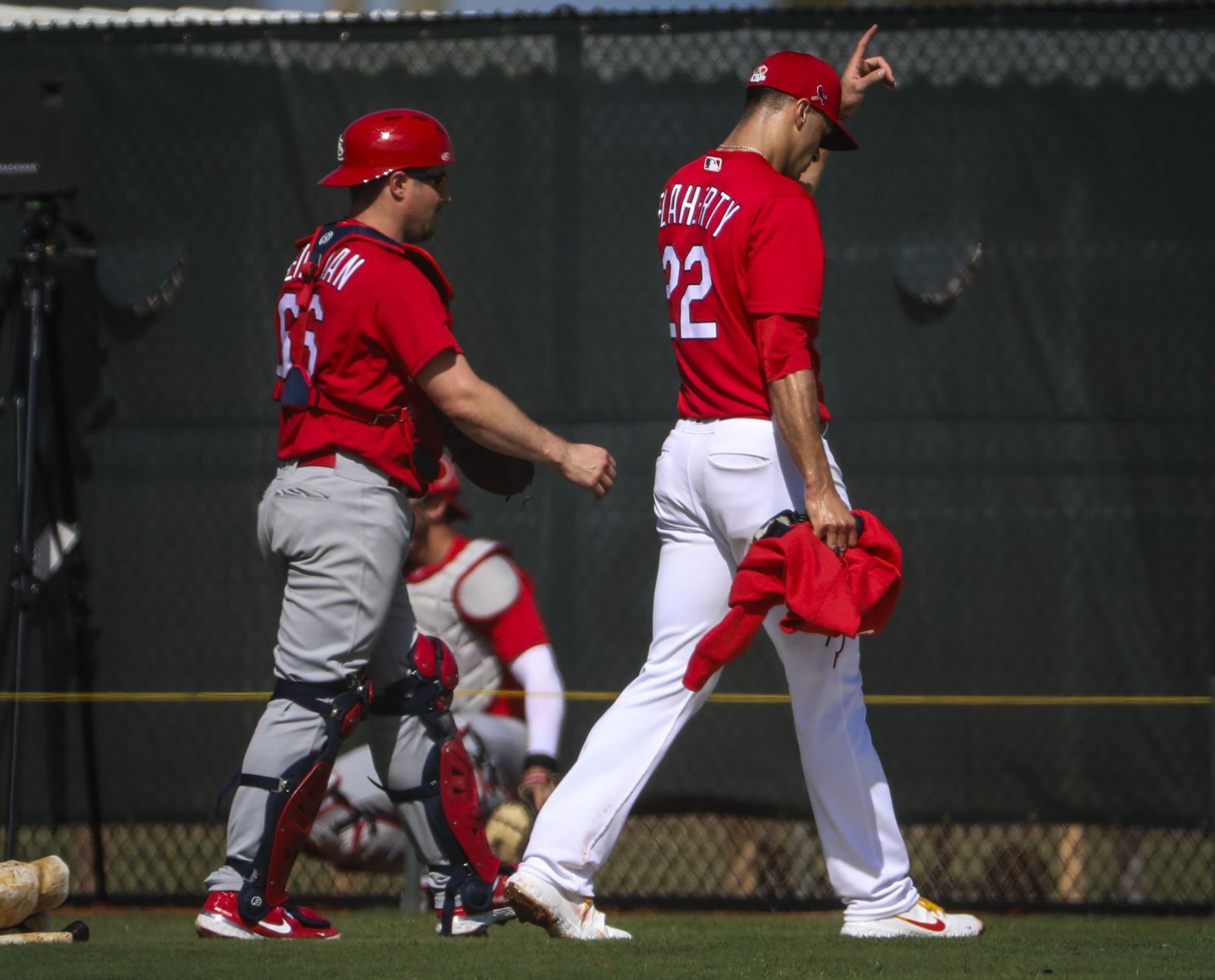 Second day of Cardinals full squad workouts